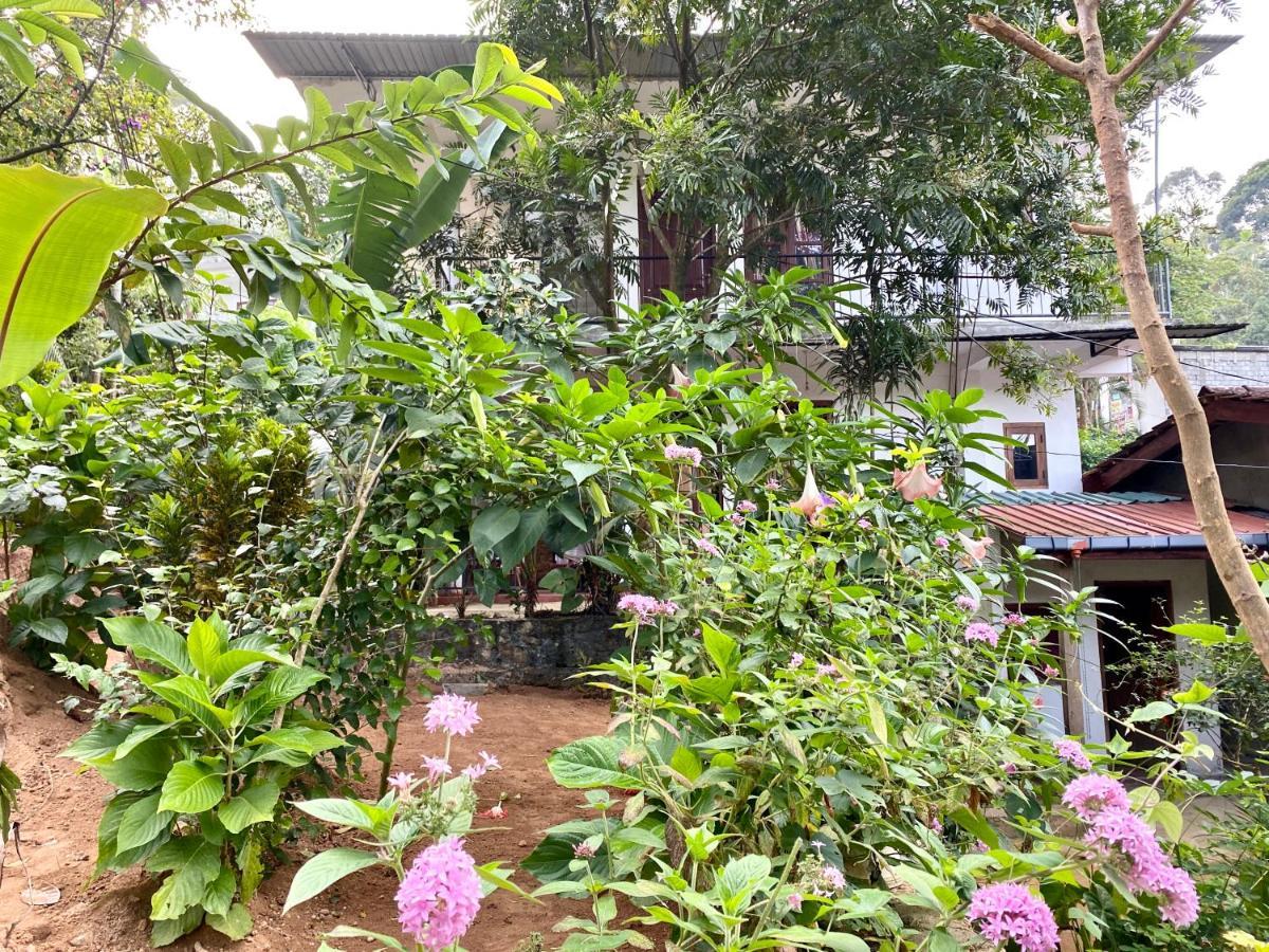 艾拉妈妈小屋住宿加早餐旅馆 埃拉 外观 照片