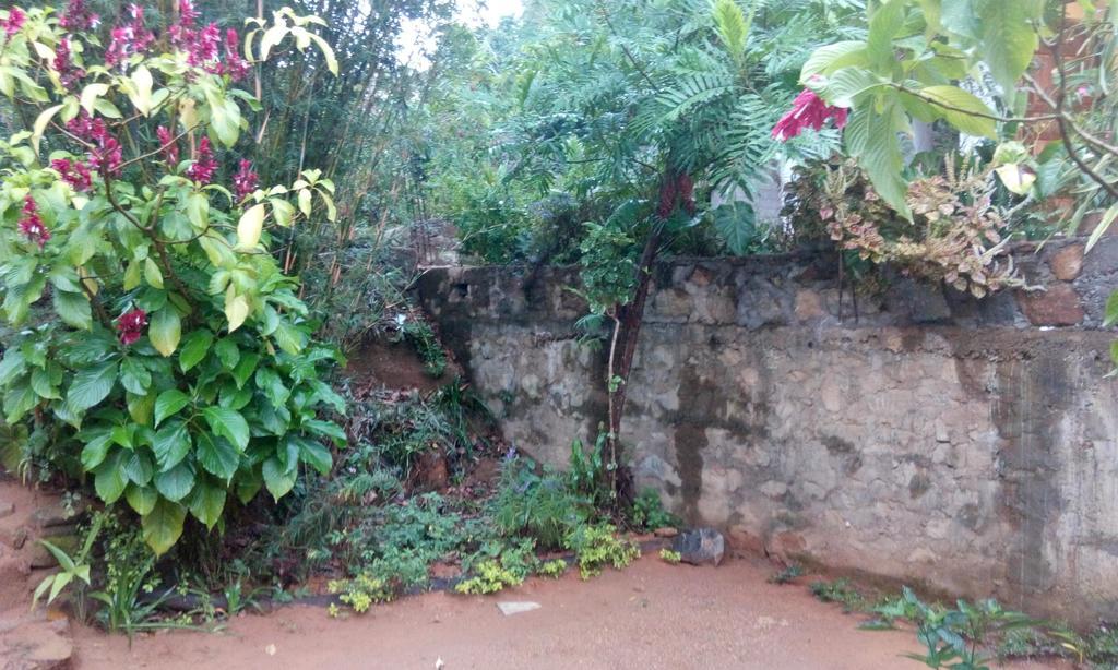 艾拉妈妈小屋住宿加早餐旅馆 埃拉 外观 照片